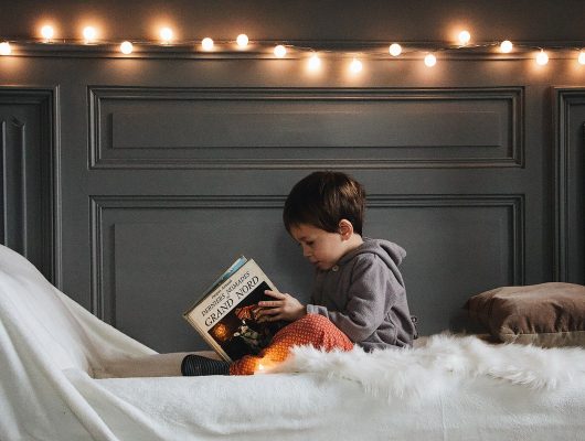WordPress Themes for Childrens Books.jpg