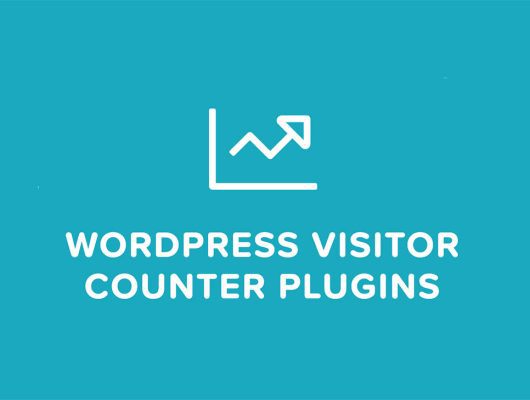 visitor counter plugins.jpg
