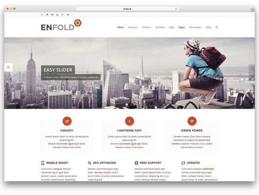 websites using enfold theme.jpg