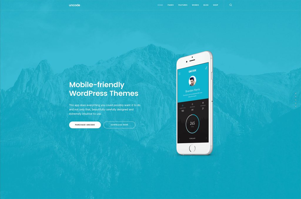 29 Best Mobile-Friendly WordPress Themes 2024