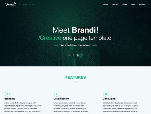 psd one page website templates.jpg