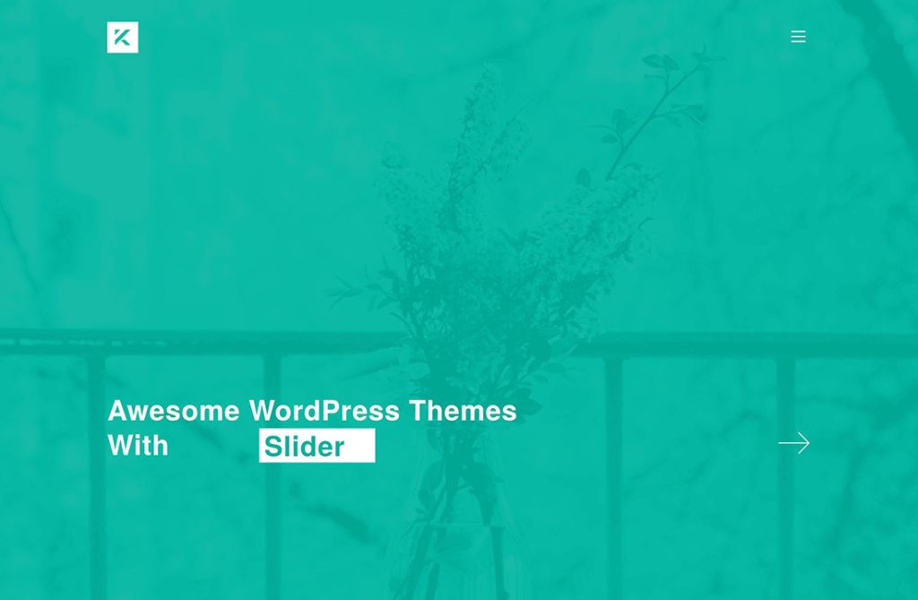 24 Best WordPress Themes With Slider (2024)