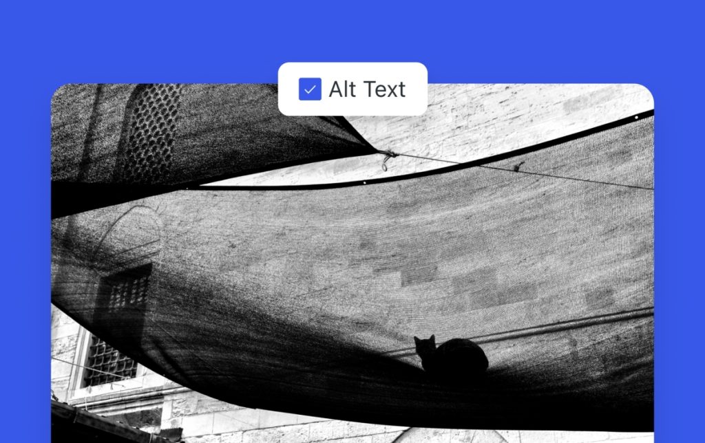 Why Alt Text Matters: Boost Accessibility and SEO
