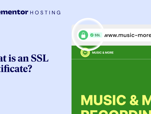 SSL 1.png
