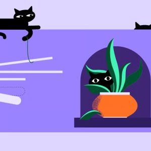 imgi 23 2021 11 Herding Cats — Lessons Learned While Developing for the WordPress Environment 01 1.jpeg