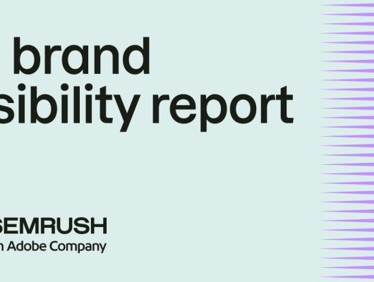 ai brand visibility report.png